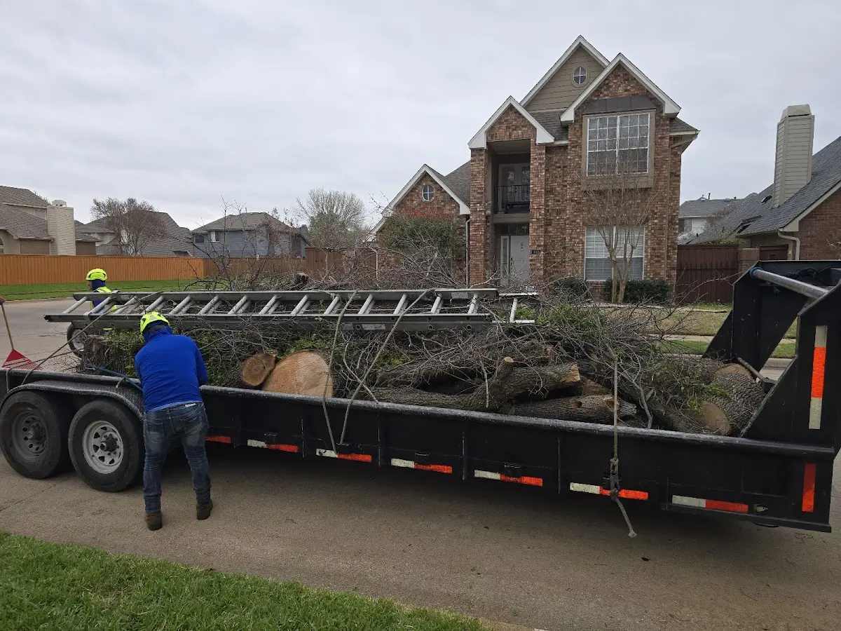 Expert Tree Fertilization with proper safety equipment in Manhattan